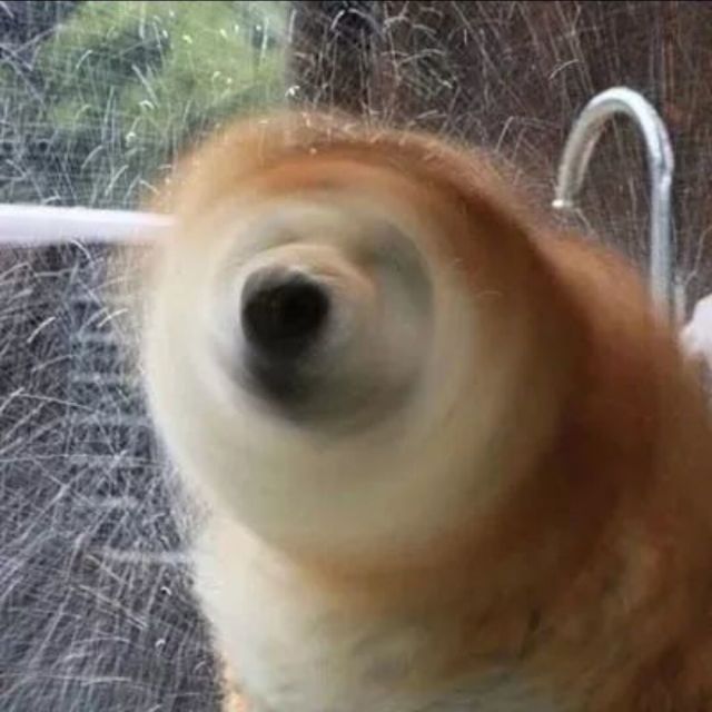彬红茶日记