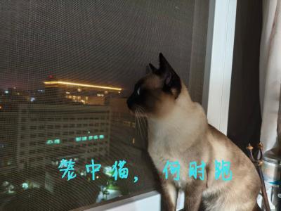零碎琐事（26年5月28日）