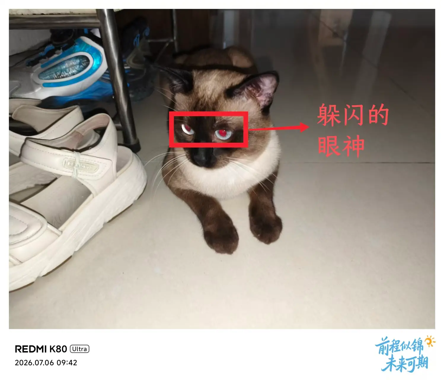 8e100545ad39173a75d69d8a37c0a69e.webp